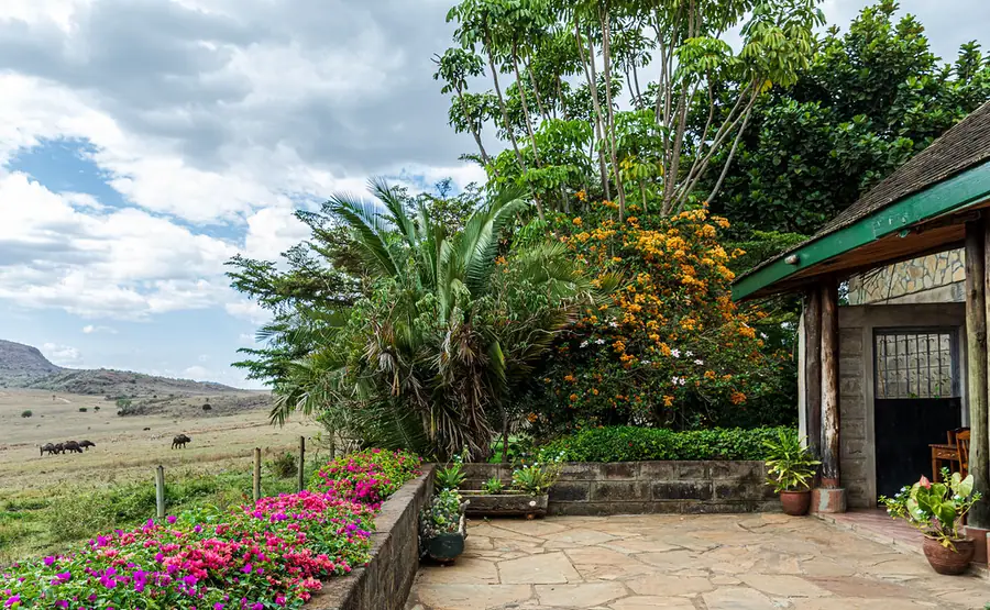 The lake shore and acacia woodland of Lake Nakuru National Park, Kenya